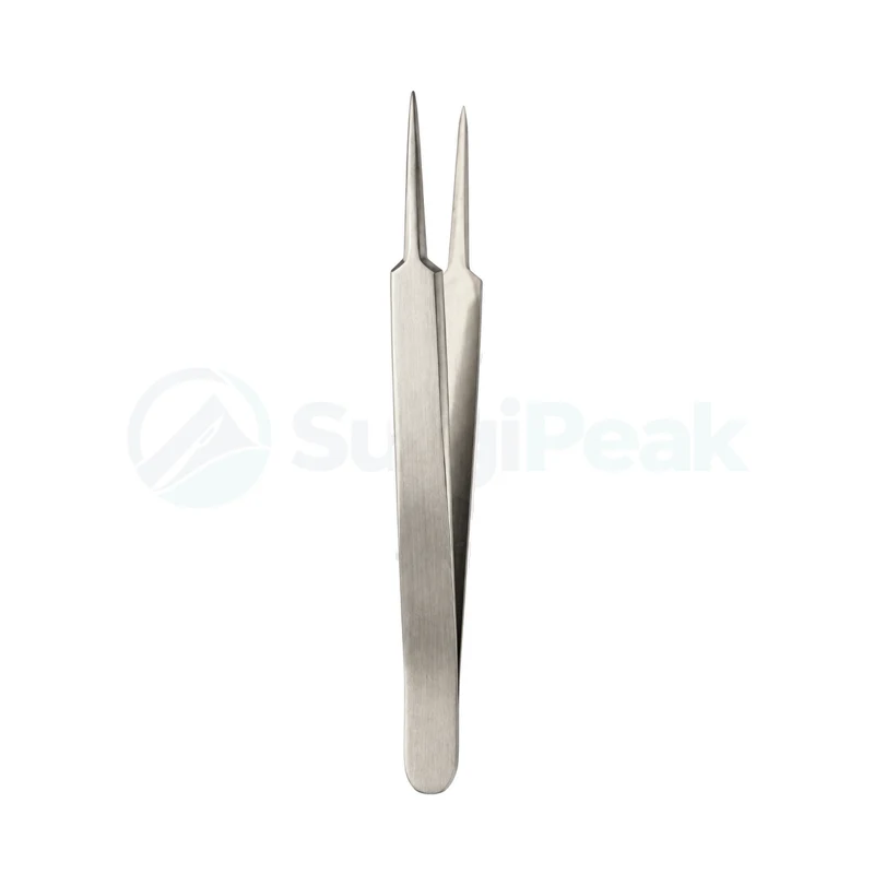 Cathedral Stainless Steel Splinter Forceps