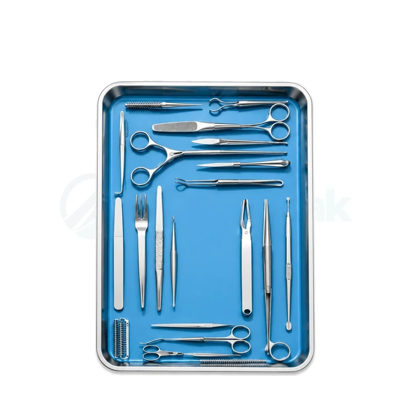 Collection of Surgical Instruments and Medical Tools