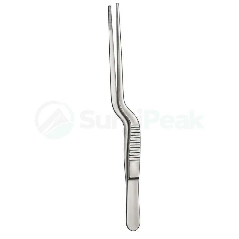 Fagge Aural Forceps Plain