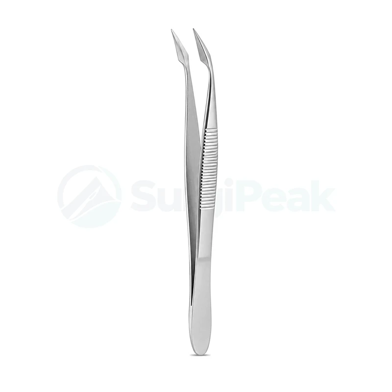 Hunter Curved Splinter Forceps 10.5 cm