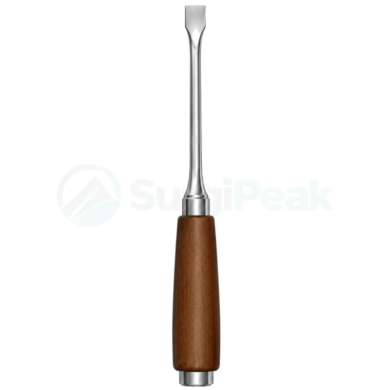 Lexer Bone